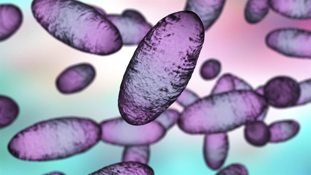 ΗΠΑ: Εντοπίστηκε κρούσμα βουβωνικής πανώλης σε άνθρωπο – «Πιθανόν να μολύνθηκε από το κατοικίδιο του»