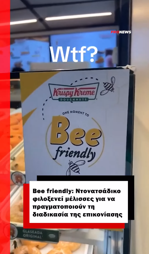 Bee friendly: Ντονατσάδικο φιλοξενεί μέλισσες για να πραγματοποιούν τη διαδικασία της επικονίασης