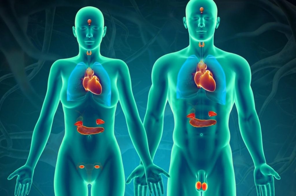 Αυτές είναι οι έξι ορμόνες που έχουν τη δύναμη να αλλάξουν τη ζωή σας