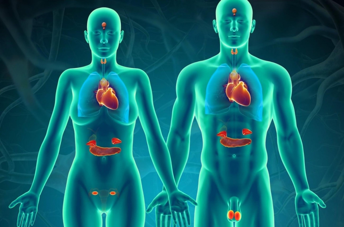 Αυτές είναι οι έξι ορμόνες που έχουν τη δύναμη να αλλάξουν τη ζωή σας