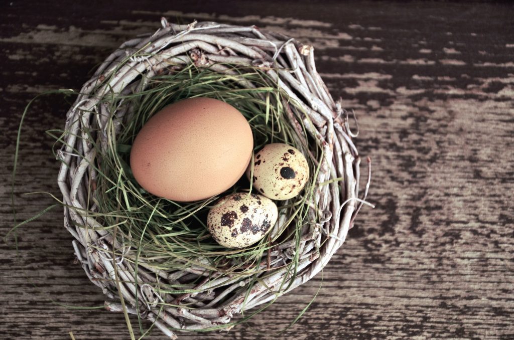 Αυτό είναι το αρχαιότερο γνωστό αβγό που διατηρήθηκε για 1.700 χρόνια με φυσικό τρόπο (φώτο)
