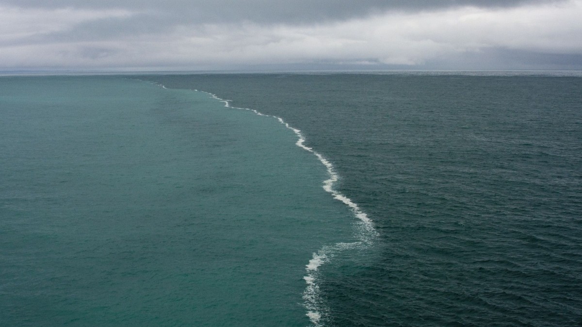 Βαλτική: Ανακαλύφθηκε τείχος 11.000 ετών – Ερευνητές εικάζουν ότι χρησίμευε ως διάδρομος για το κυνήγι (φώτο)