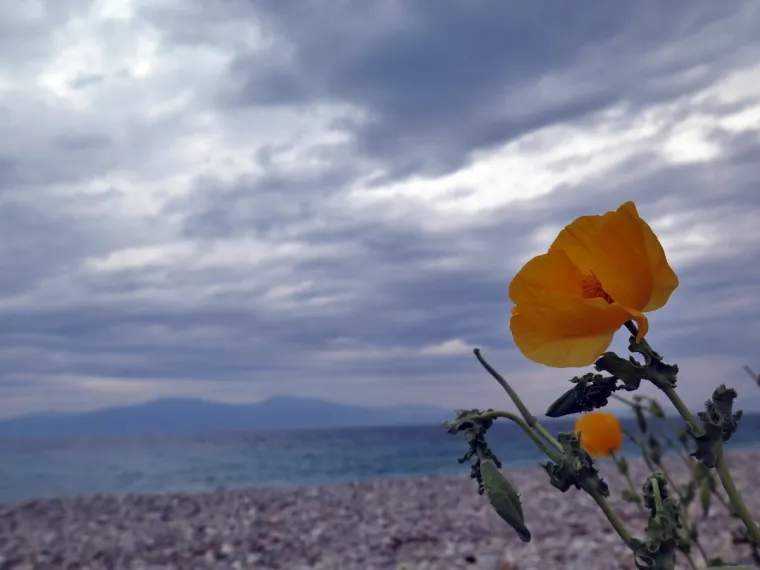 Άστατος ο καιρός σήμερα με πτώση της θερμοκρασίας σε πολλές περιοχές