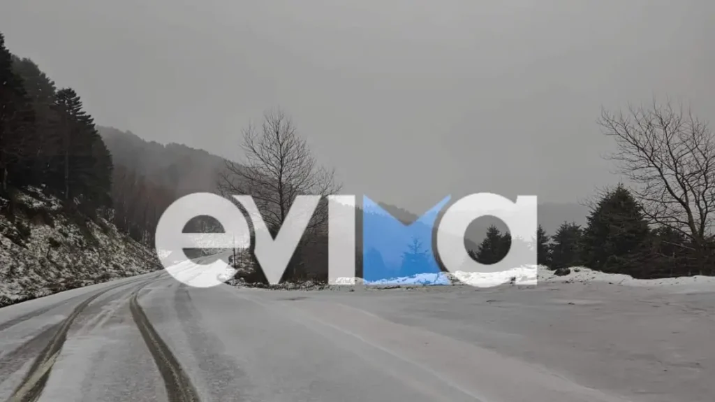 Στα λευκά «ντύθηκαν» περιοχές της Εύβοιας – Αναμένονται χιονοκαταιγιδες (βίντεο)