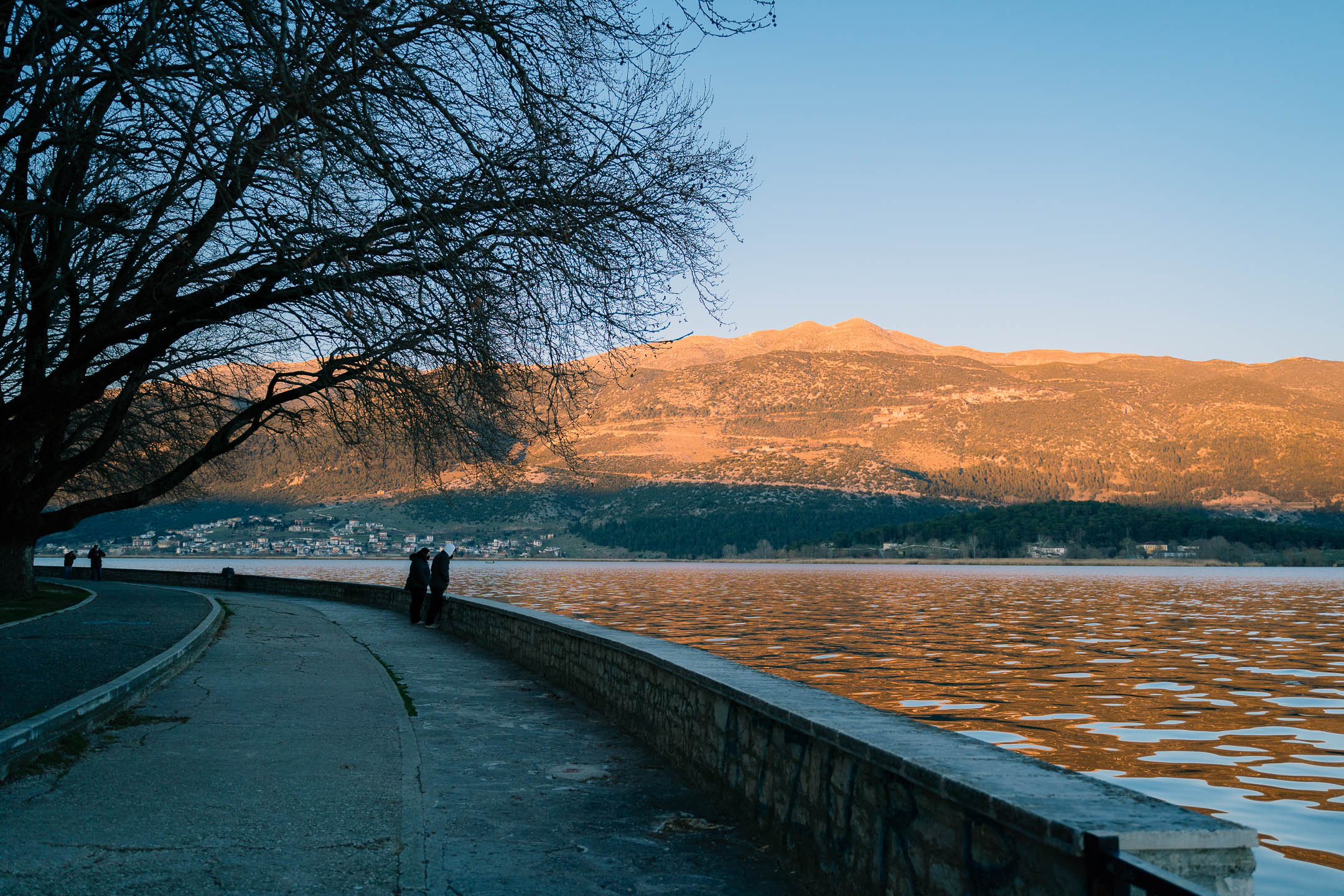Ιωάννινα: ΙΧ έπεσε στην λίμνη Παμβώτιδα – Οι επιβαίνοντες βγήκαν σώοι