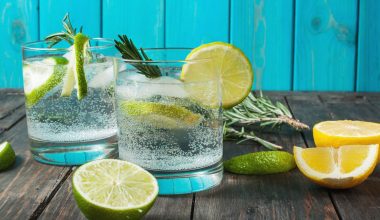 Τζιν τόνικ: Το δημοφιλές κοκτέιλ που είχε «εφευρεθεί» ως φάρμακο για στρατιώτες (βίντεο)