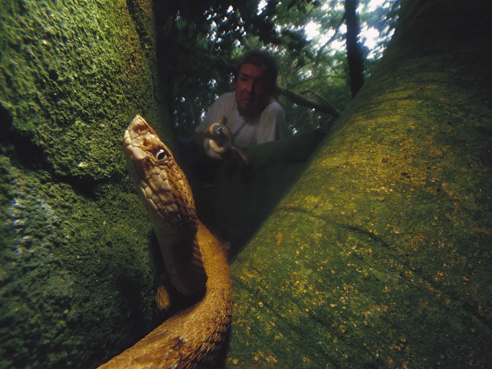 Αυτό είναι το πιο επικίνδυνο νησί του κόσμου: Δεν επιτρέπεται σε κανέναν να το επισκεφθεί και φιλοξενεί 4.000 θανατηφόρα φίδια 