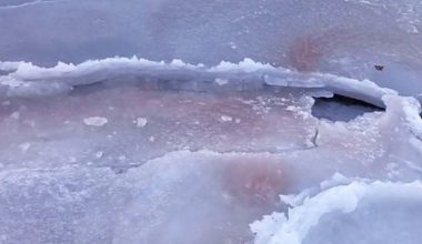Ανακαλύφθηκε κόκκινος πάγος στο Βοστόκ της Ρωσίας – Η χρωστική ουσία στα ζωοπλαγκτόν που ευθύνεται για το φαινόμενο