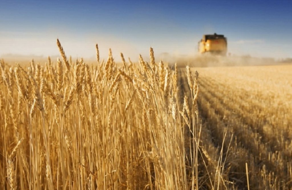 Ρωσία: «Παραδώσαμε δωρεάν 200.000 τόνους σιτηρών σε έξι χώρες της Αφρικής»