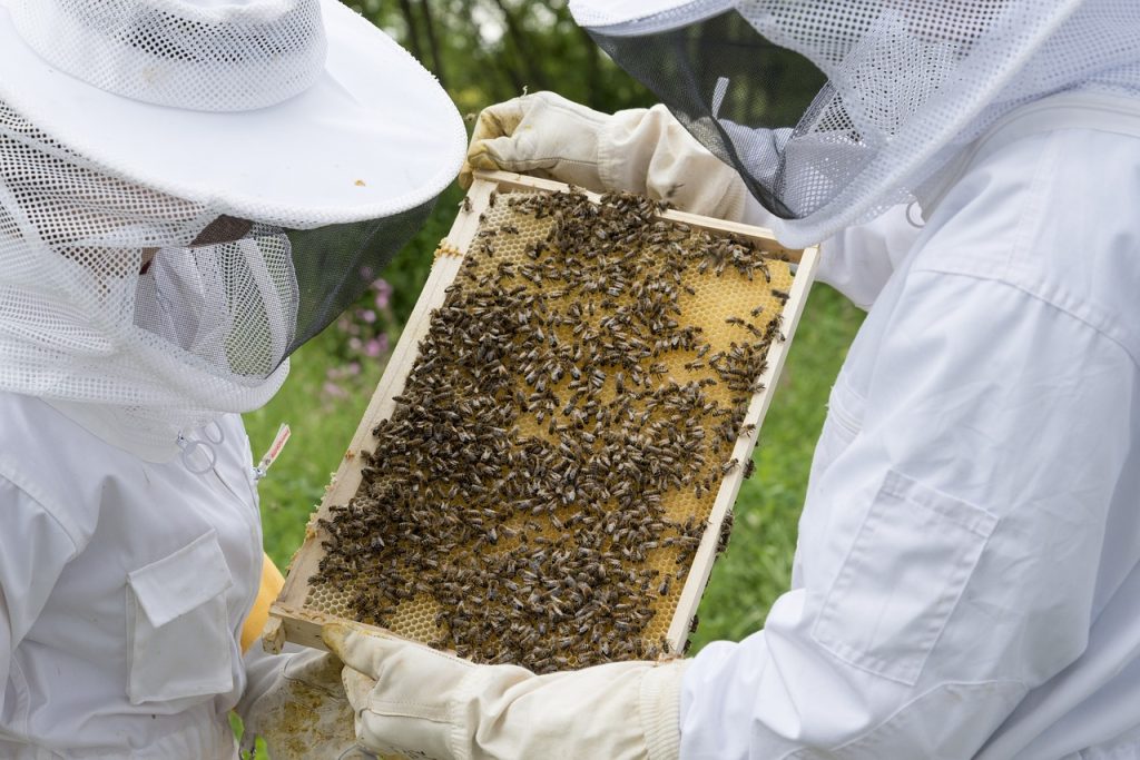 Μετά τους αγρότες κατεβαίνουν στο Σύνταγμα και οι μελισσοκόμοι – Αύριο η πανελλαδική κινητοποίησή τους
