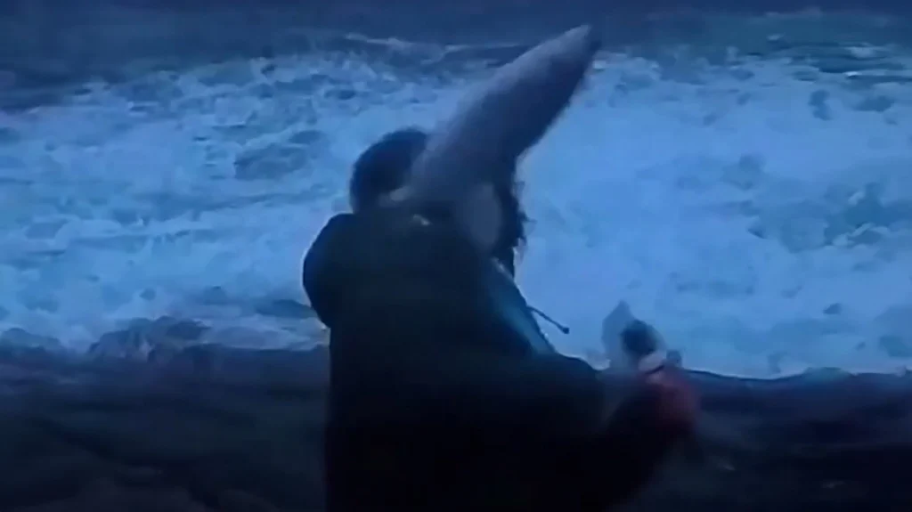 Νορβηγία: Άνδρας δέχθηκε επίθεση από «ιπτάμενο» ψάρι (βίντεο) 