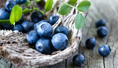 Αυτές είναι οι τροφές που «φρενάρουν» την γήρανση