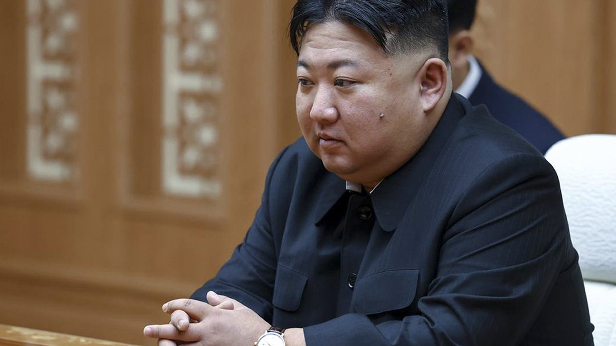 Πρώην αξιωματούχος της Σεούλ αποκαλύπτει: «Ο Κιμ Γιονγκ Ουν έχει κρυφό γιο που είναι πολύ χλωμός και αδύνατος»