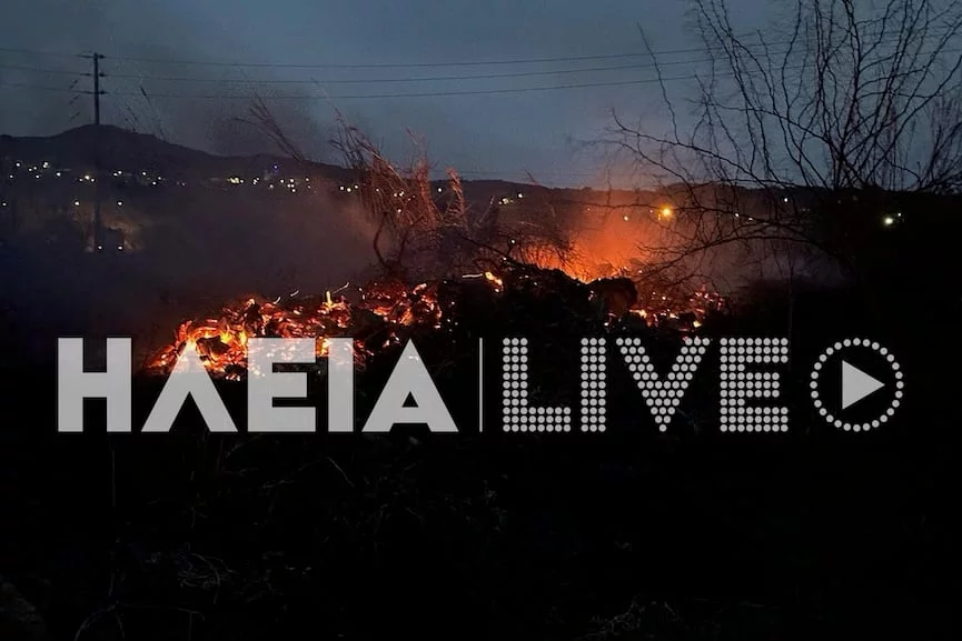 Πύργος: Πυρκαγιά ξέσπασε σε καλαμιώνες κοντά σε επιχειρήσεις