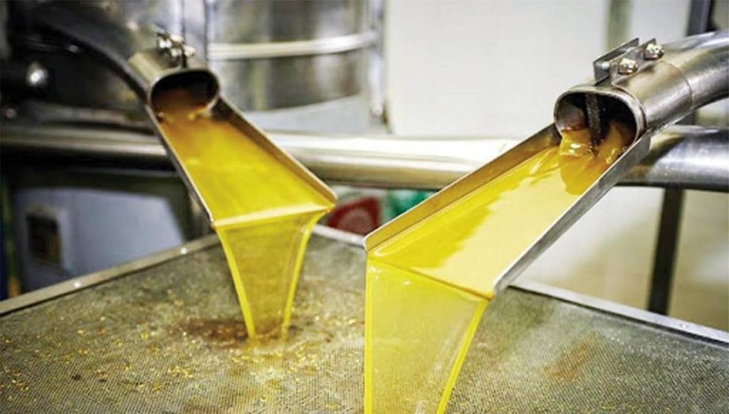 Κρήτη: Εξιχνιάστηκε η κλοπή 524 λίτρων ελαιολάδου από αποθήκη – Συνελήφθησαν δύο άτομα