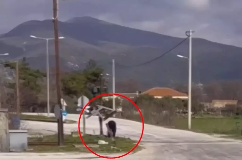 Εικόνες ντροπής στην Ξάνθη: Οδηγός σταματά το τρένο σε αφύλακτη διάβαση για να δει αν έρχονται αυτοκίνητα