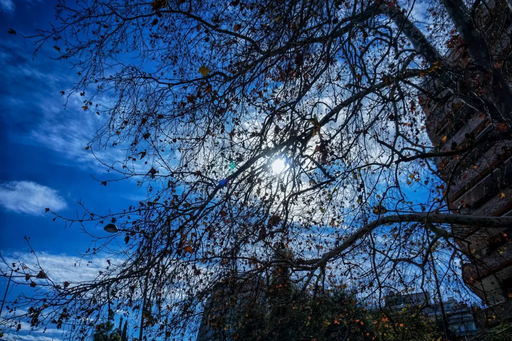 Meteo: Ο πιο θερμός μήνας της 15ετίας για τη Βόρεια Ελλάδα ο φετινός Φεβρουάριος