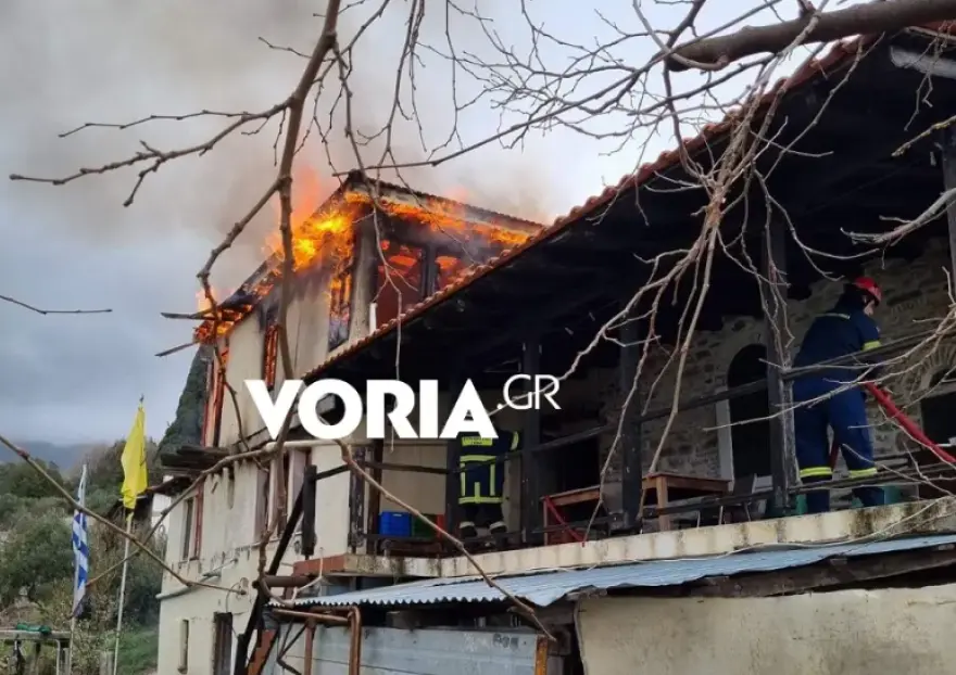 Άγιο Όρος: Υπό έλεγχο η φωτιά σε Σκήτη – Εκκενώθηκε το κελί (βίντεο)