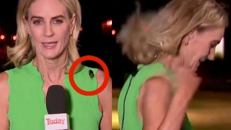 Αυστραλία: Τεράστιο έντομο προσγειώθηκε στο στήθος δημοσιογράφου – Δείτε πως αντέδρασε (βίντεο) 