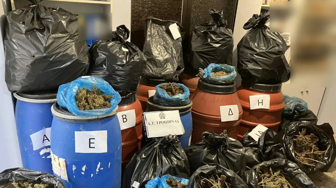 Τροιζήνα: Περισσότερα από 48 κιλά κάνναβης εντοπίστηκαν σε βαρέλια και σακούλες σε οικόπεδο – Δύο συλλήψεις 
