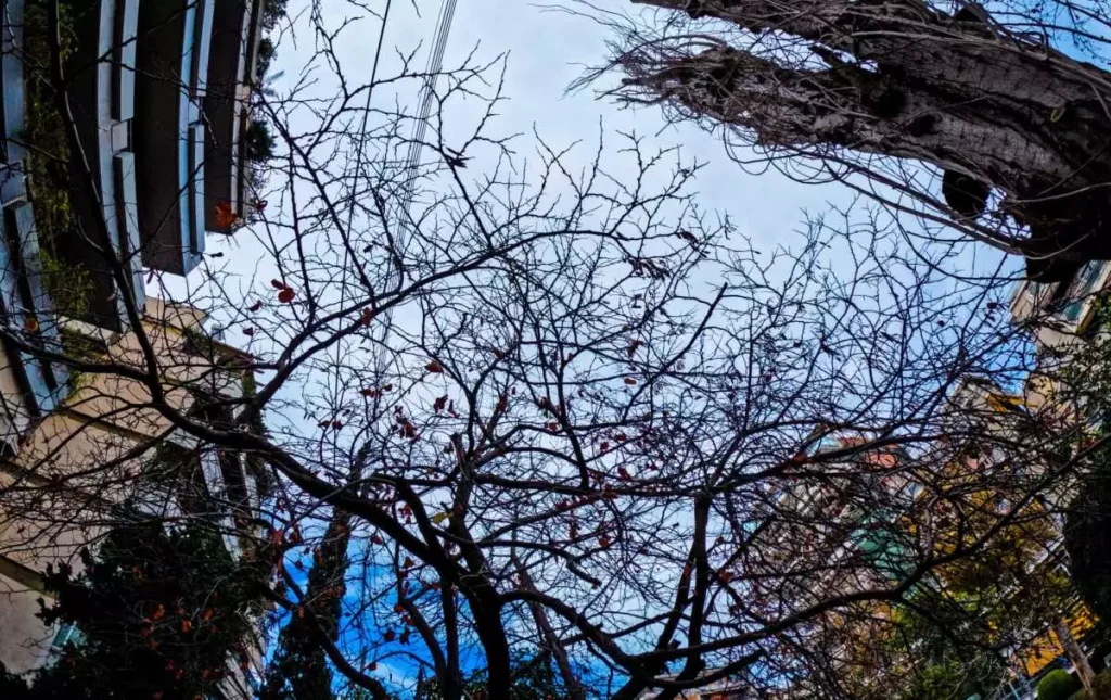 Καιρός: Συννεφιασμένη Τσικνοπέμπτη στην Αττική – Σε ποιες περιοχές θα βρέξει