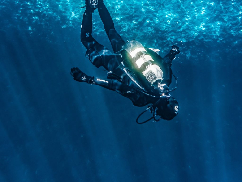 Αγγλία: Επιστήμονες ανακάλυψαν μυστηριώδες θαλάσσιο πλάσμα (φώτο)