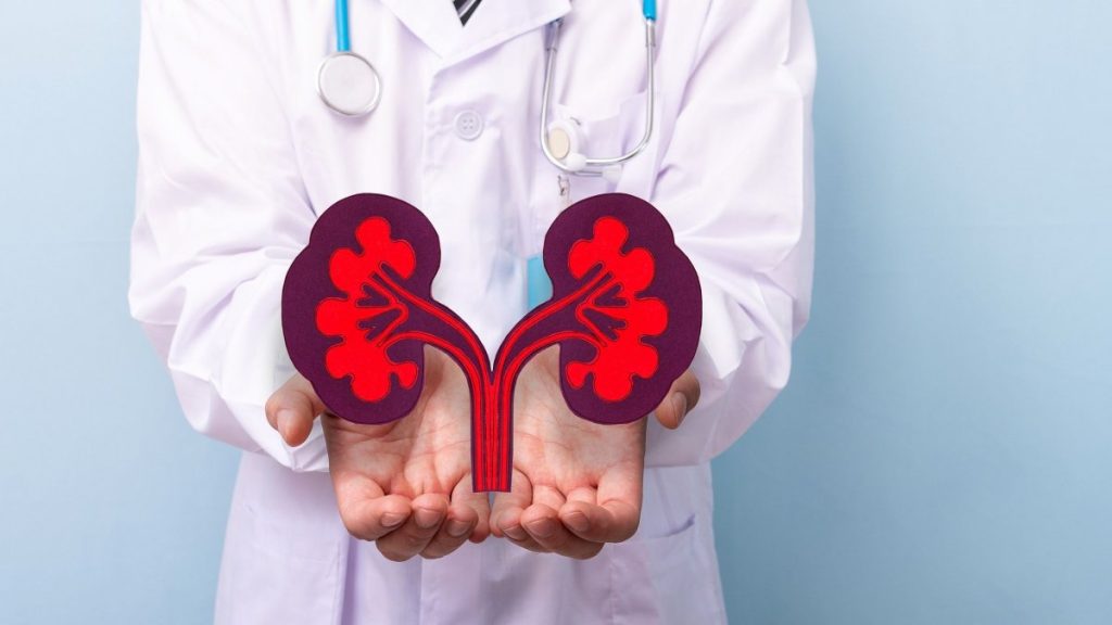 Αξίζουν μια θέση στο πιάτο μας: Δείτε ποια είναι τα τρόφιμα που κάνουν καλό στην υγεία των νεφρών