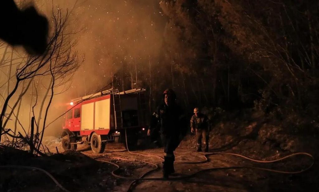 Λάρισα: Σε εγρήγορση η Πυροσβεστική για φωτιά σε κασταναριό στην Καρίτσα