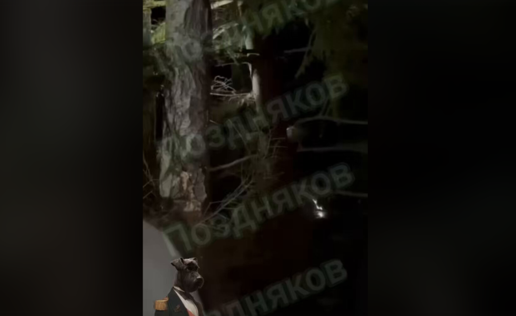 Βίντεο: Η σύλληψη ενός από τους τρομοκράτες του Crocus City Hall – Πιάνεται σε δάσος λίγο πριν διαφύγει στην Ουκρανία