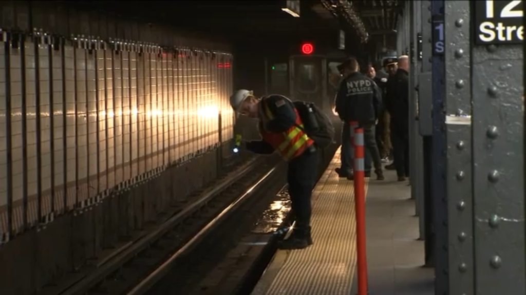 Νέα Υόρκη: Τον έσπρωξε στις ράγες την ώρα που περνούσε το μετρό και τον σκότωσε