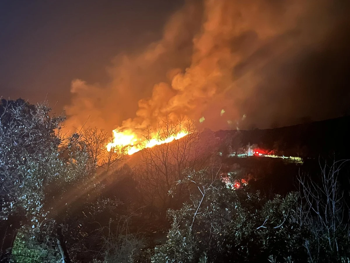 Υπό μερικό έλεγχο η φωτιά που καίει από χθες στην Αράχοβα Μεσσηνίας – Εκκενώθηκε προληπτικά ο οικισμός