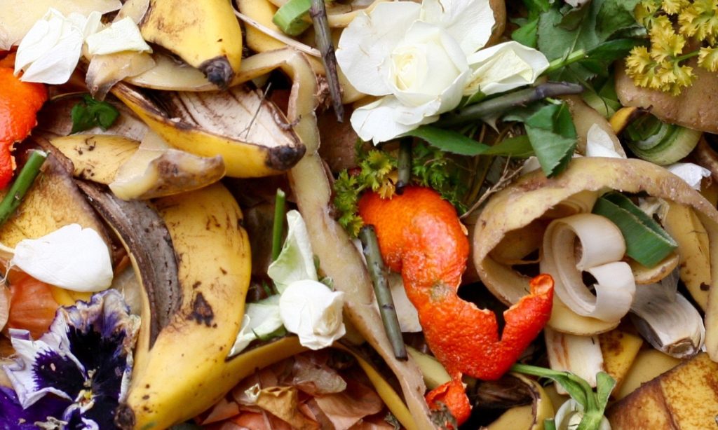 ΟΗΕ: Τεράστια σπατάλη τροφίμων – Ένα δισεκατομμύριο γεύματα πετιούνται στα σκουπίδια κάθε μέρα