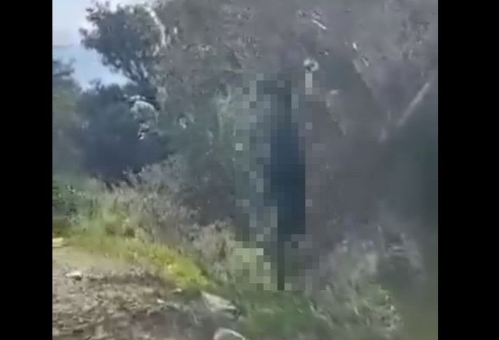 Άγρια κακοποίηση κατσίκας στην Ικαρία – Την κρέμασαν σε δέντρο (βίντεο)