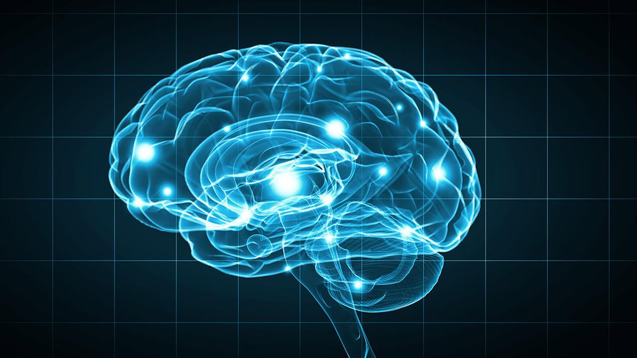 Μελέτη αποκαλύπτει τι μπορείτε να κάνετε για να μην γεράσει πρόωρα ο εγκέφαλός σας
