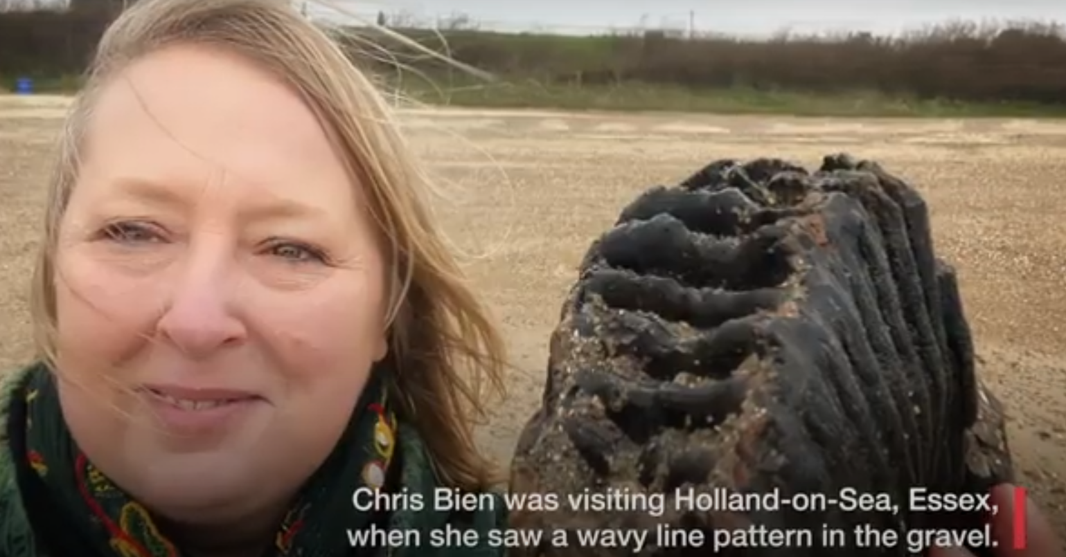 Βρετανία: Γυναίκα εντόπισε σε παραλία δόντι μαμούθ ηλικίας 1,8 εκατομμυρίων ετών (βίντεο)