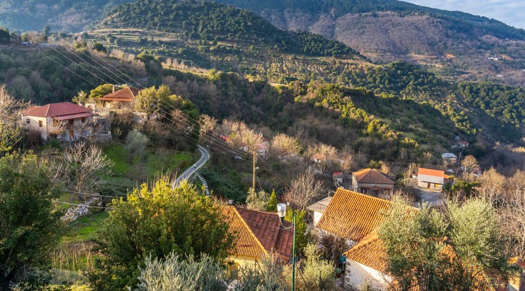 Καρδίτσα: Είχε πεθάνει πριν την κατασπαράξει το άγριο ζώο η 85χρονη που εντοπίστηκε χωρίς κεφάλι