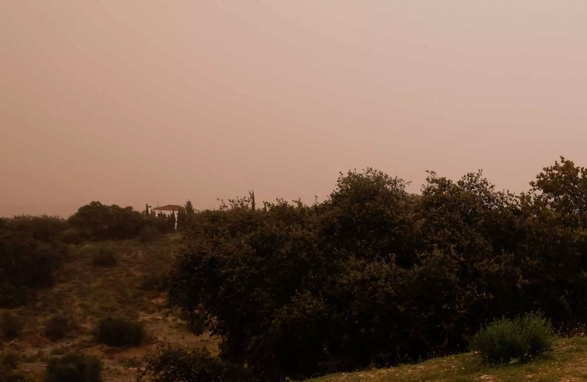 O ουρανός της Ελβετίας καλύφθηκε από αφρικανική σκόνη από την Σαχάρα