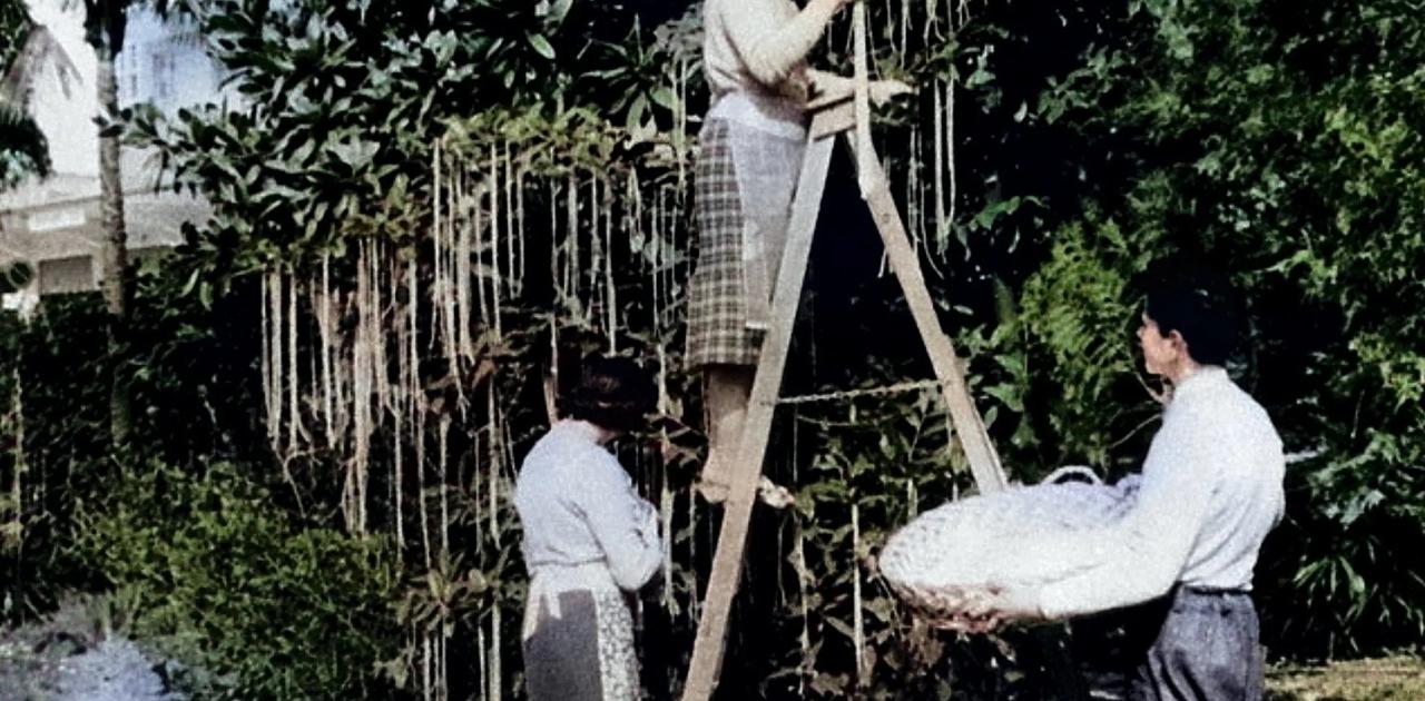 Πρωταπριλιά: Τα δύο επικά αστεία που έγιναν πρωτοσέλιδα (βίντεο)