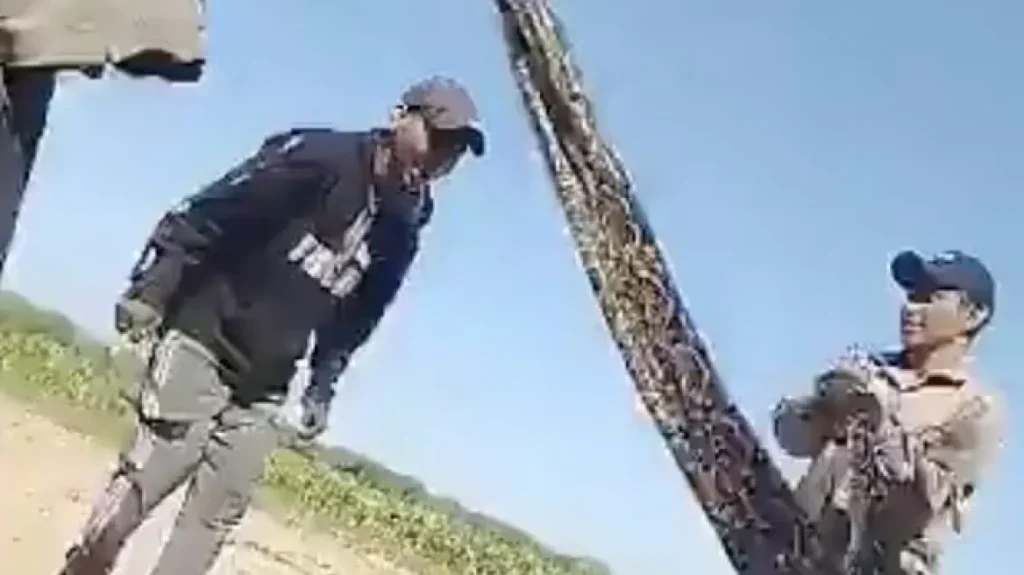 Αργεντινή: Αντιδράσεις με βίντεο που δείχνει άνδρες να κάνουν σχοινάκι με… βόα και να γελούν