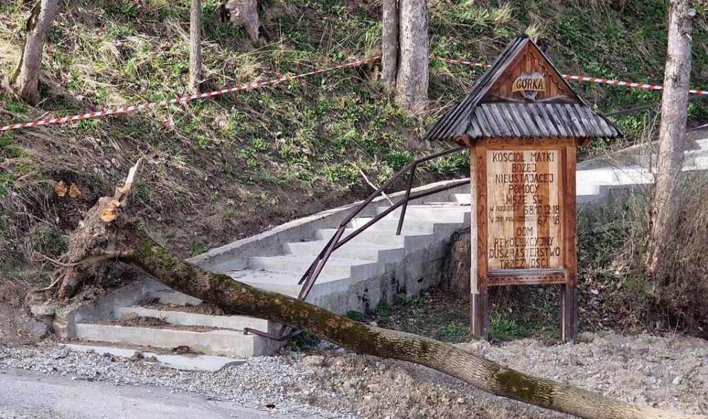 Πολωνία: Πέντε νεκροί εξαιτίας των ισχυρών ανέμων – Καταπλακώθηκαν από δέντρα