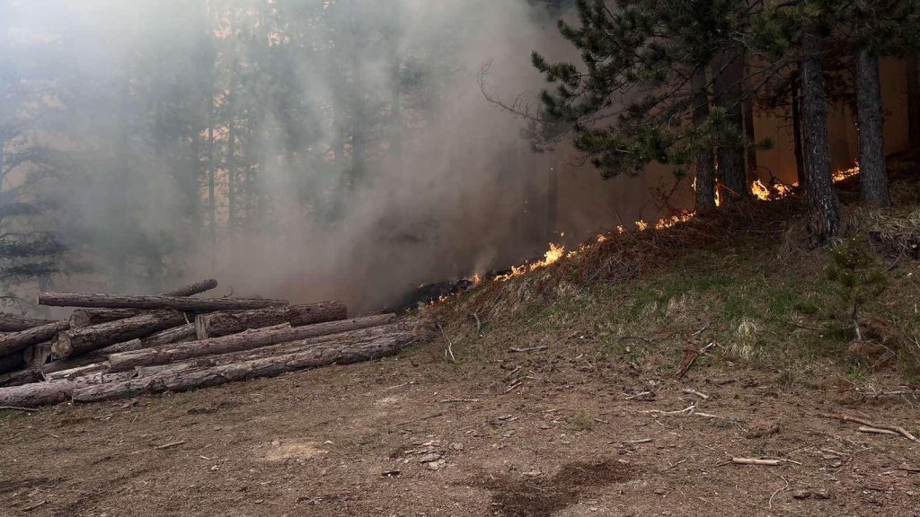 Πιέρια Όρη: Βελτιώνεται η κατάσταση της πυρκαγιάς