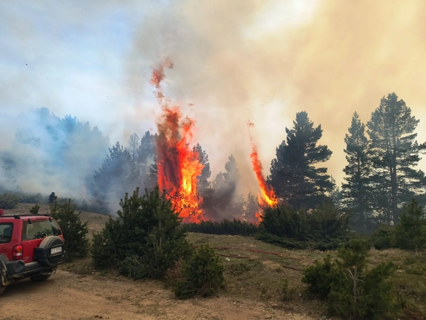 Φωτιά στα Πιέρια Όρη – Δασάρχης: «Έχουν καεί 2.500 στρέμματα τα οποία είναι μεικτό δάσος»