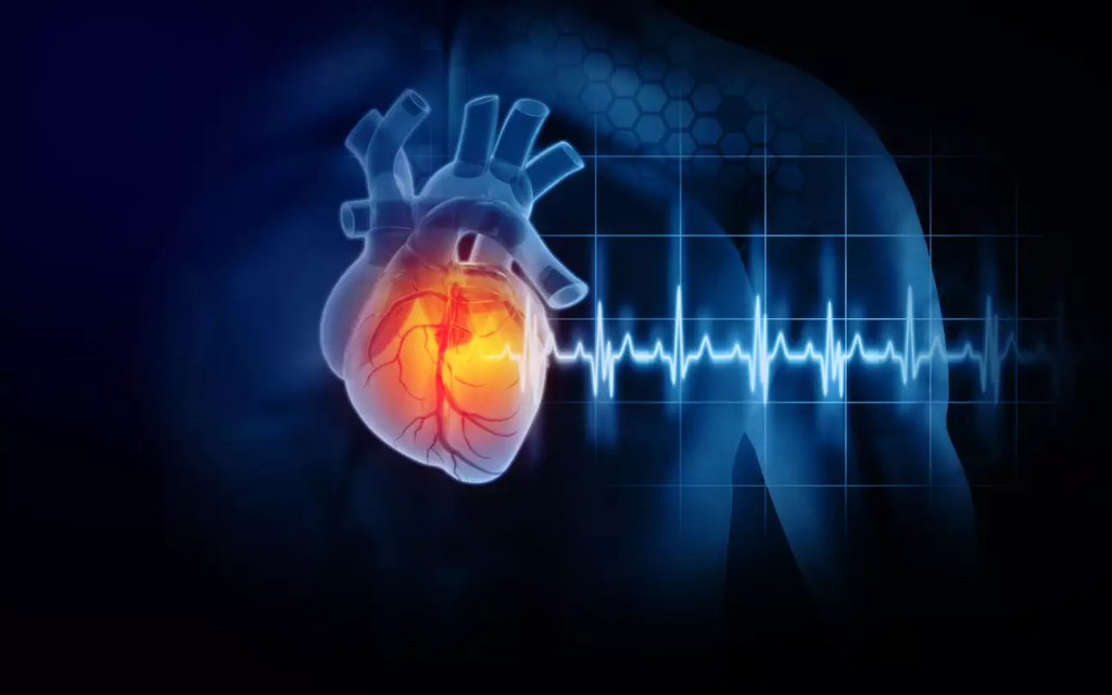 Μελέτη: Τα βακτήρια στο έντερο μπορεί να επηρεάζουν τις καρδιαγγειακές παθήσεις