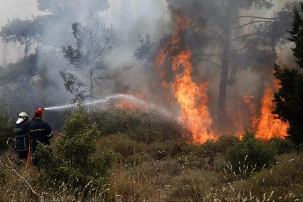 Φθιώτιδα: Φωτιά κοντά στο χωριό Καρυά Καμένων Βούρλων
