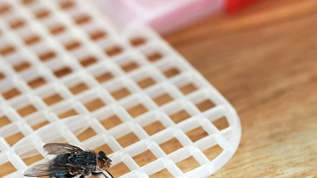 Εύκολοι τρόποι να απαλλαγείτε μια και καλή από τις μύγες στο σπίτι