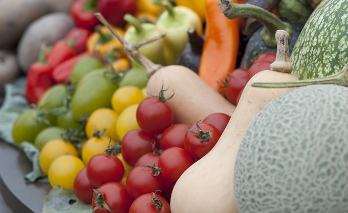 Αυξήθηκαν κατά 36,96% οι εισαγωγές φρούτων και λαχανικών τον Μάρτιο – Τα κυριότερα προϊόντα που εισάγονται
