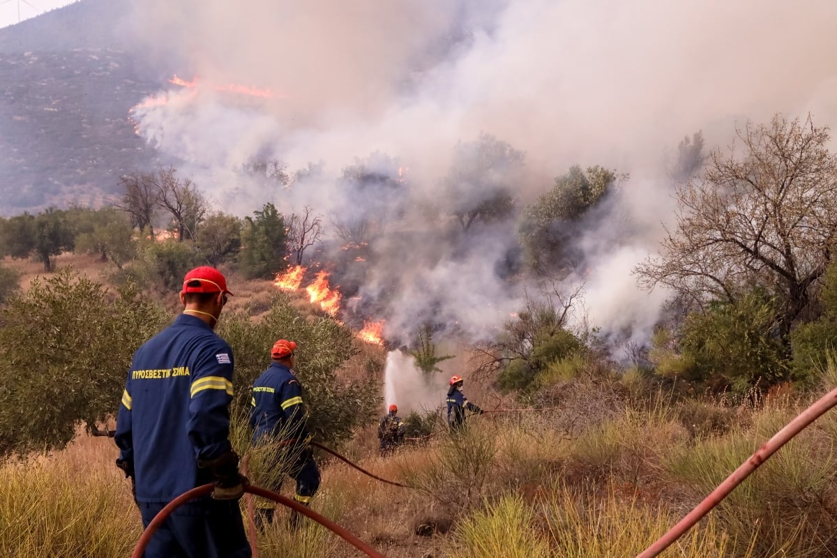 Πολιτική Προστασία: Ξέσπασαν 71 φωτιές σε 12 ώρες- Σε ποιες περιοχές είναι υψηλός ο κίνδυνος πυρκαγιάς 
