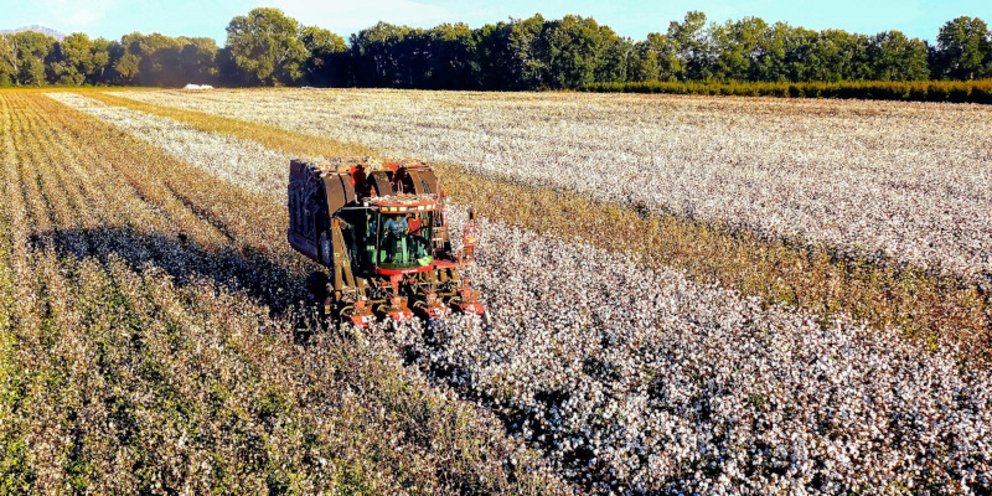«Έρχεται» πριν το Πάσχα η Κάρτα του Αγρότη – Όλα όσα πρέπει να γνωρίζετε