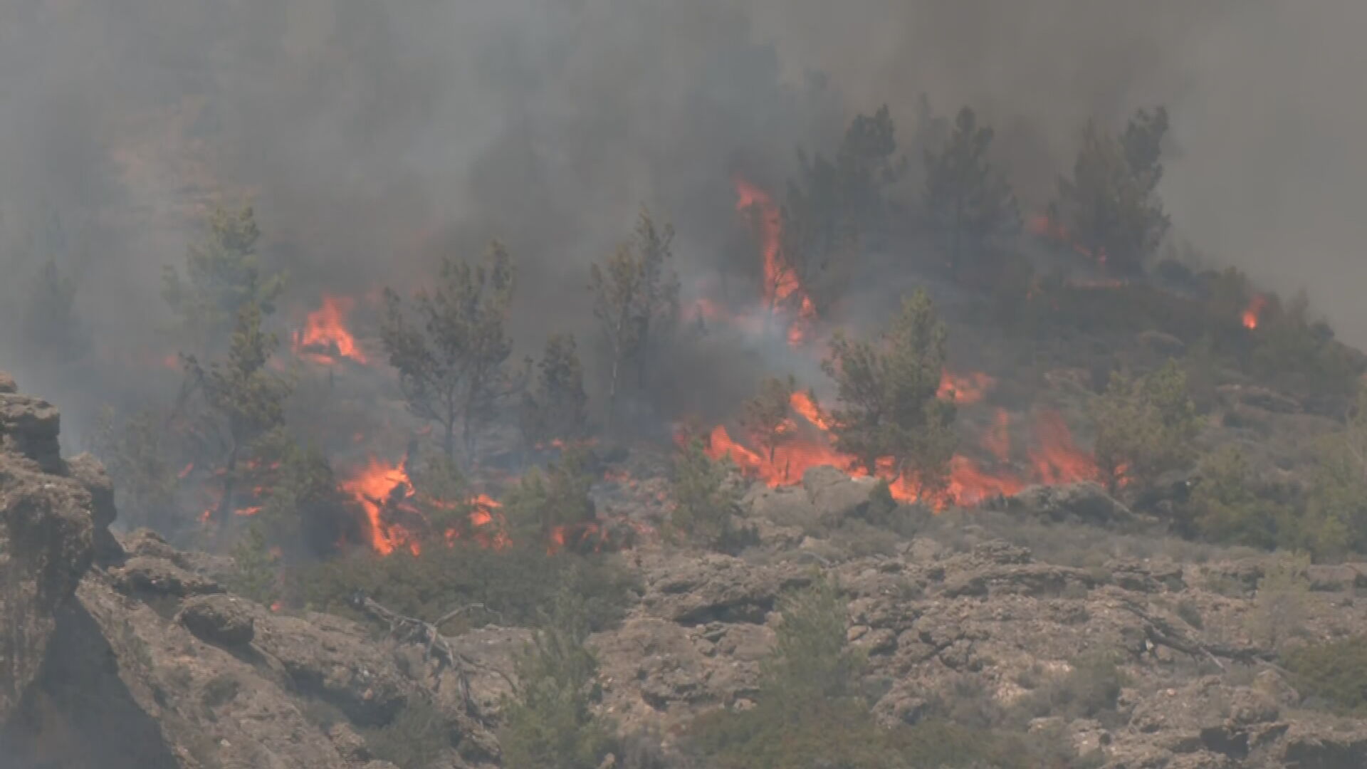 Κρήτη: Τεράστια η καταστροφή στην Ιεράπετρα μετά την φωτιά – Δορυφορικές εικόνες