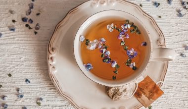 Το λάθος που κάνουν σχεδόν όλοι όταν φτιάχνουν τσάι